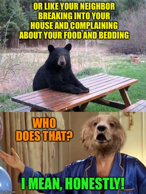 OR LIKE YOUR NEIGHBOR BREAKING INTO YOUR HOUSE AND COMPLAINING ABOUT YOUR FOOD AND BEDDING I MEAN, HONESTLY! WHO DOES THAT? | made w/ Imgflip meme maker