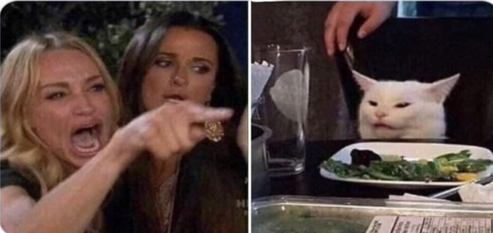 Angry women yelling at confused cat at dinner table Blank Meme Template