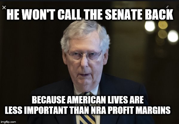 THE AWFUL TRUTH |  HE WON'T CALL THE SENATE BACK; BECAUSE AMERICAN LIVES ARE LESS IMPORTANT THAN NRA PROFIT MARGINS | image tagged in mitch mcconnell,gun laws,nra,donald trump,impeach trump | made w/ Imgflip meme maker