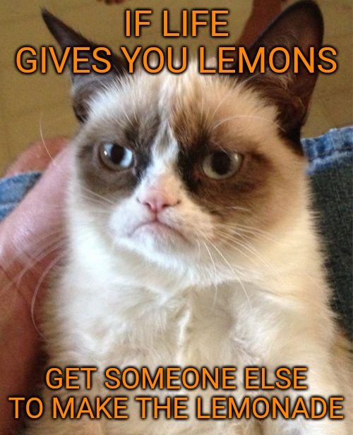 Grumpy Cat Meme | IF LIFE GIVES YOU LEMONS; GET SOMEONE ELSE TO MAKE THE LEMONADE | image tagged in memes,grumpy cat | made w/ Imgflip meme maker