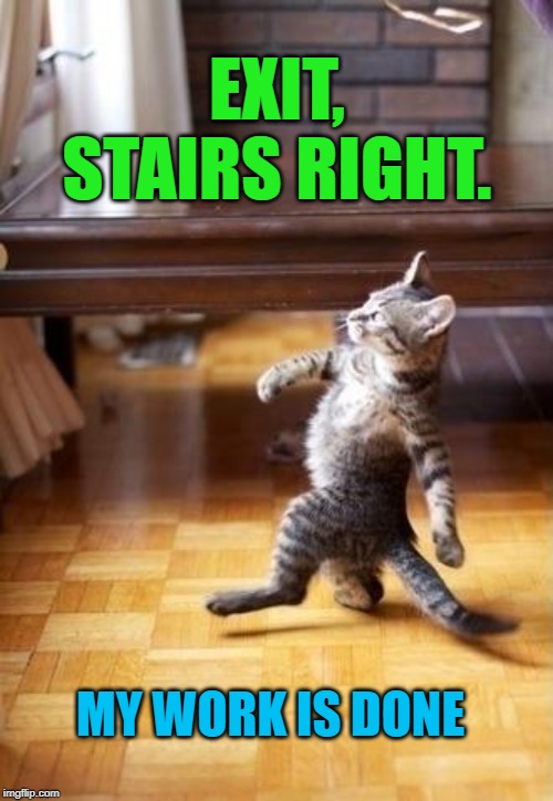 Cool Cat Stroll Meme | EXIT, STAIRS RIGHT. MY WORK IS DONE | image tagged in memes,cool cat stroll | made w/ Imgflip meme maker