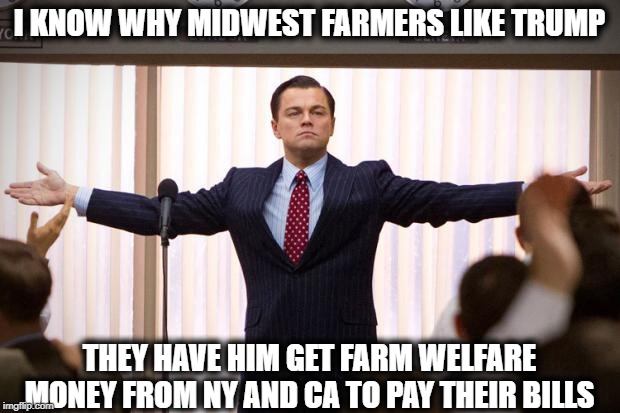 Funny, the ones whining about welfare aint even paying for it | I KNOW WHY MIDWEST FARMERS LIKE TRUMP; THEY HAVE HIM GET FARM WELFARE MONEY FROM NY AND CA TO PAY THEIR BILLS | image tagged in memes,welfare,maga,impeach trump,crybaby | made w/ Imgflip meme maker