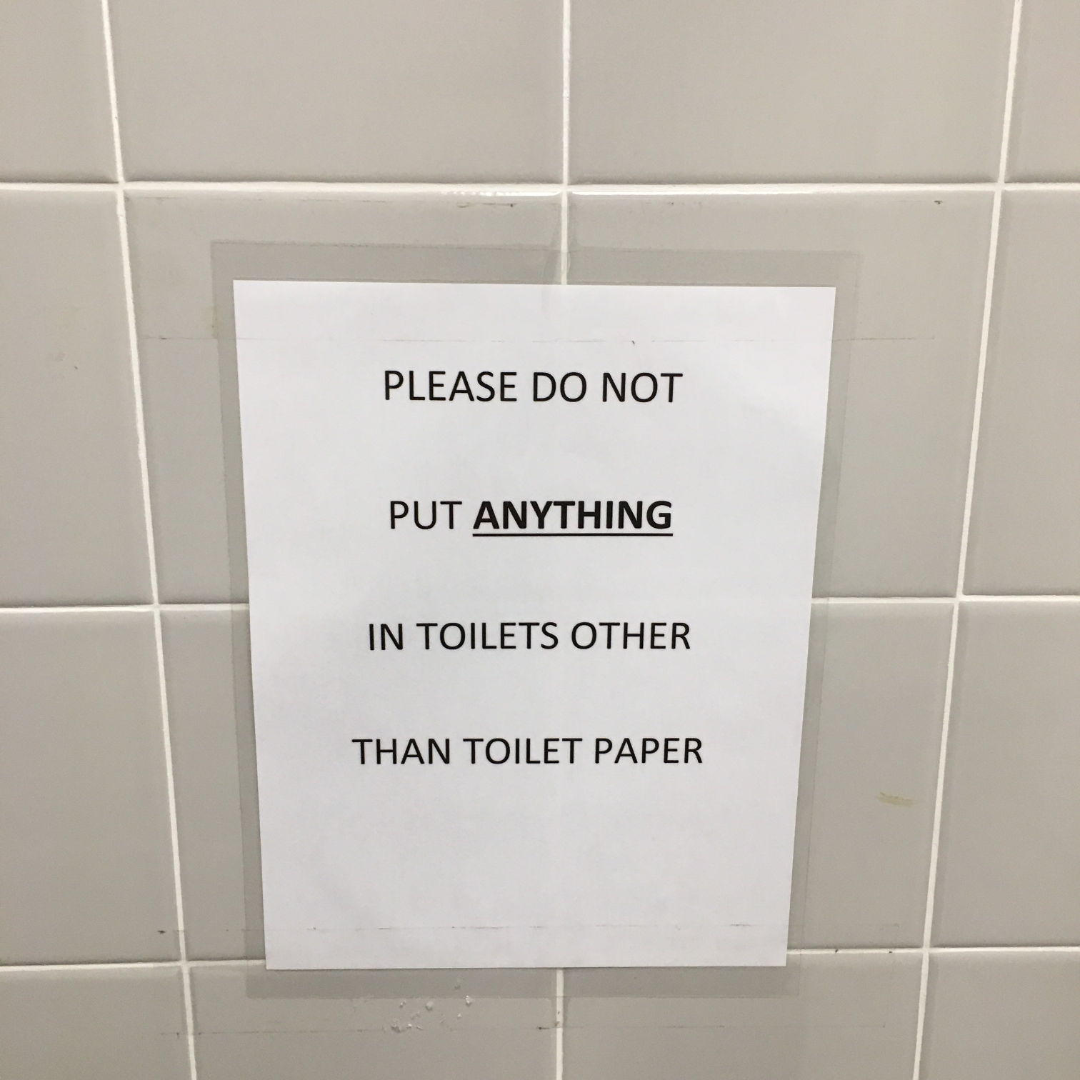 Please do not put anything in toilets other than toilet paper Blank Meme Template