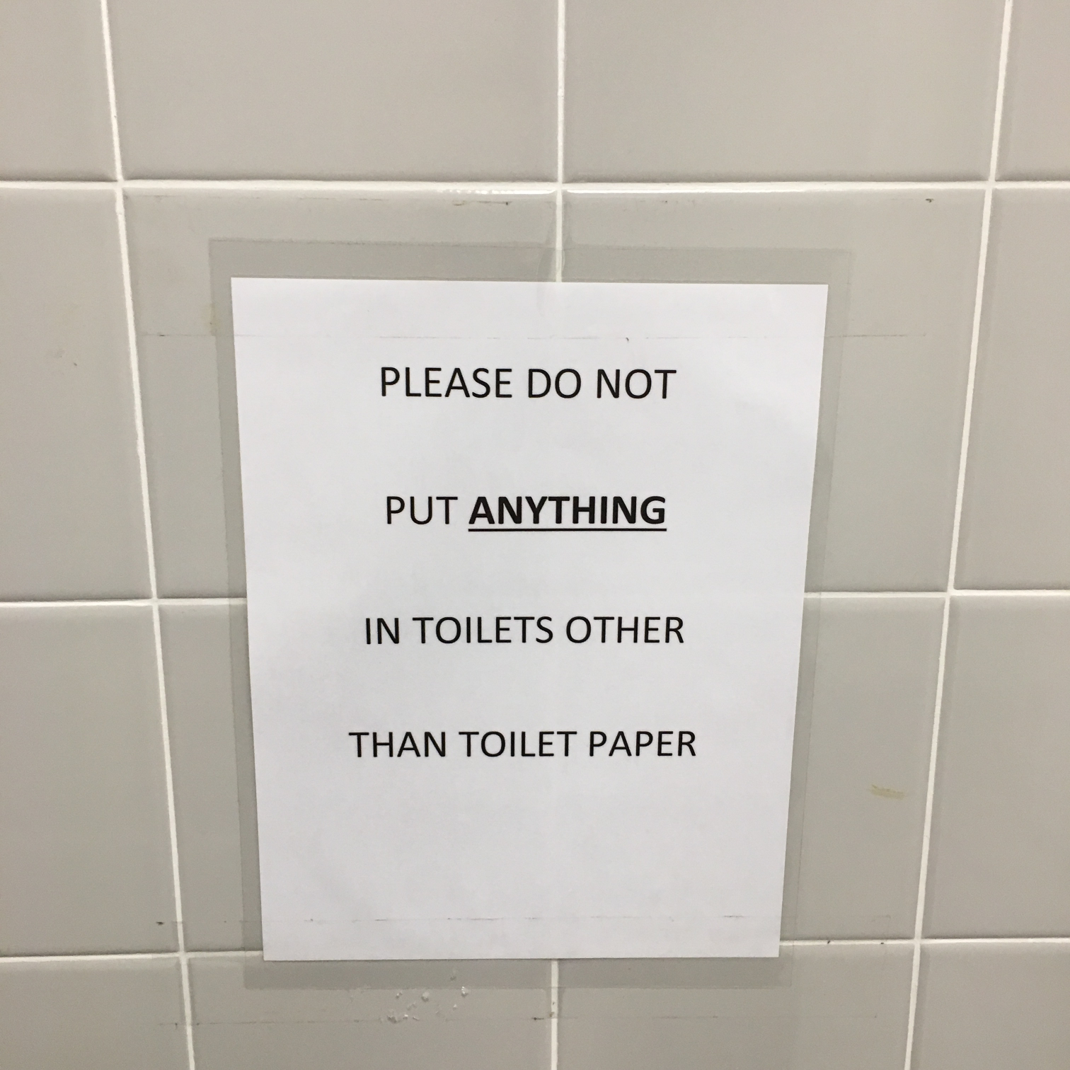 High Quality Please do not put anything in toilets other than toilet paper Blank Meme Template