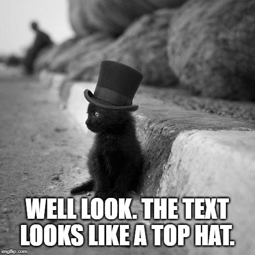 Black cat top hat | WELL LOOK. THE TEXT LOOKS LIKE A TOP HAT. | image tagged in black cat top hat | made w/ Imgflip meme maker