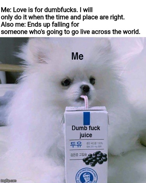 Dumbfuck juice | Me: Love is for dumbfucks. I will only do it when the time and place are right. 
Also me: Ends up falling for someone who's going to go live across the world. | image tagged in dumbfuck juice | made w/ Imgflip meme maker