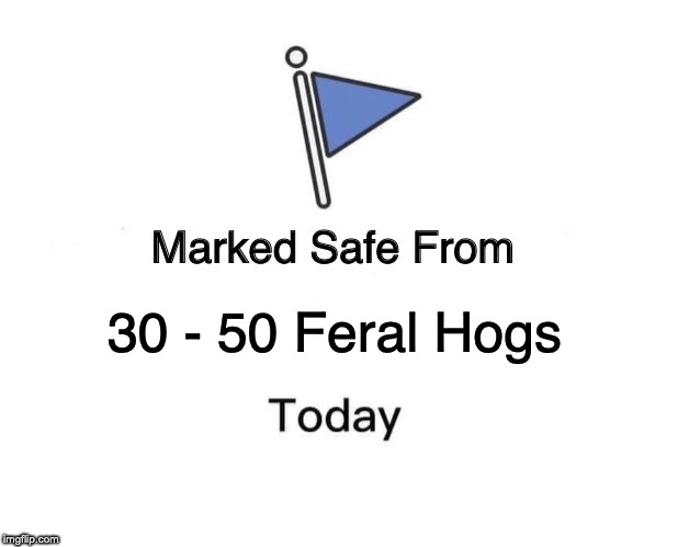 It took me 3 - 5 minutes to get away! | 30 - 50 Feral Hogs | image tagged in memes,marked safe from | made w/ Imgflip meme maker