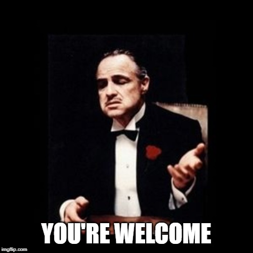 god father | YOU'RE WELCOME | image tagged in god father | made w/ Imgflip meme maker