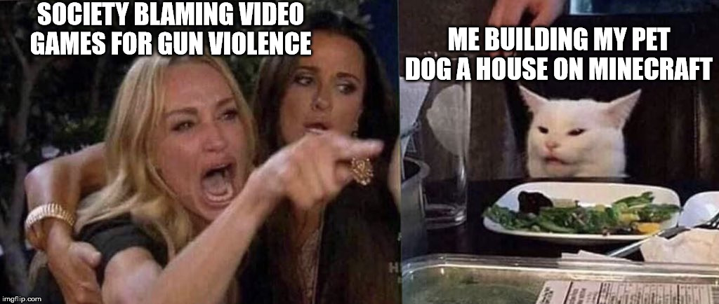 woman yelling at cat | SOCIETY BLAMING VIDEO GAMES FOR GUN VIOLENCE; ME BUILDING MY PET DOG A HOUSE ON MINECRAFT | image tagged in woman yelling at cat | made w/ Imgflip meme maker