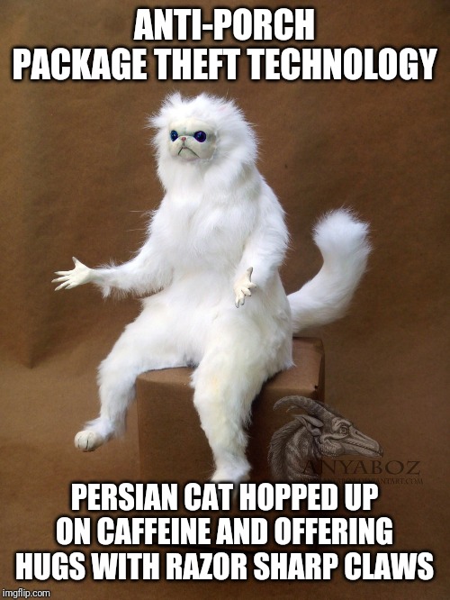 Persian Cat Room Guardian Single Meme | ANTI-PORCH PACKAGE THEFT TECHNOLOGY; PERSIAN CAT HOPPED UP ON CAFFEINE AND OFFERING HUGS WITH RAZOR SHARP CLAWS | image tagged in memes,persian cat room guardian single | made w/ Imgflip meme maker
