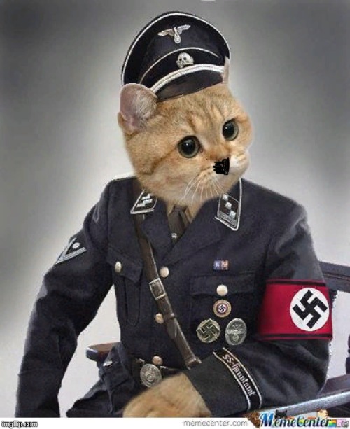 Catler | image tagged in nazi cat | made w/ Imgflip meme maker