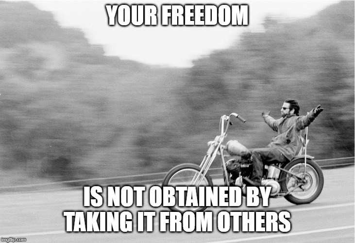 Freedom biker | YOUR FREEDOM; IS NOT OBTAINED BY TAKING IT FROM OTHERS | image tagged in freedom biker | made w/ Imgflip meme maker