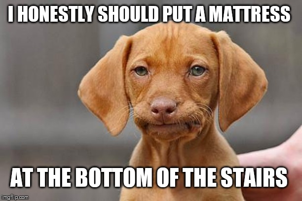 Dissapointed puppy | I HONESTLY SHOULD PUT A MATTRESS AT THE BOTTOM OF THE STAIRS | image tagged in dissapointed puppy | made w/ Imgflip meme maker