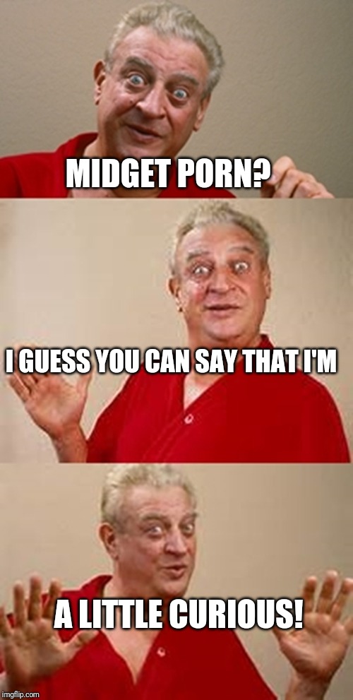 bad pun Dangerfield  | MIDGET PORN? A LITTLE CURIOUS! I GUESS YOU CAN SAY THAT I'M | image tagged in bad pun dangerfield | made w/ Imgflip meme maker