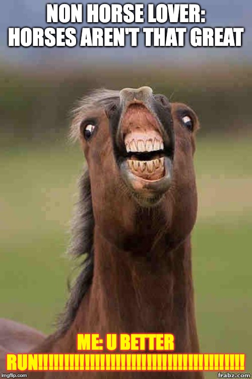 horse face | NON HORSE LOVER: HORSES AREN'T THAT GREAT; ME: U BETTER RUN!!!!!!!!!!!!!!!!!!!!!!!!!!!!!!!!!!!!!!!! | image tagged in horse face | made w/ Imgflip meme maker