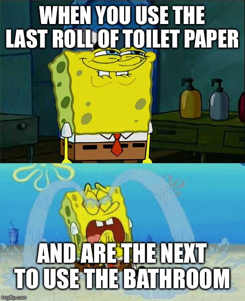 WHEN YOU USE THE LAST ROLL OF TOILET PAPER; AND ARE THE NEXT TO USE THE BATHROOM | image tagged in memes,dont you squidward,spongebob crying | made w/ Imgflip meme maker
