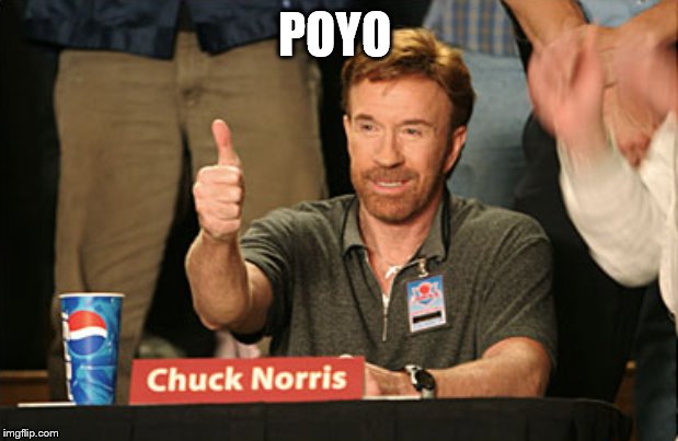 Chuck Norris Approves Meme | POYO | image tagged in memes,chuck norris approves,chuck norris | made w/ Imgflip meme maker