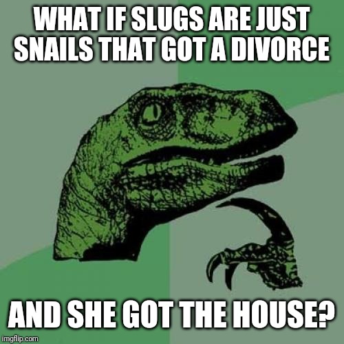 Philosoraptor Meme | WHAT IF SLUGS ARE JUST SNAILS THAT GOT A DIVORCE; AND SHE GOT THE HOUSE? | image tagged in memes,philosoraptor | made w/ Imgflip meme maker