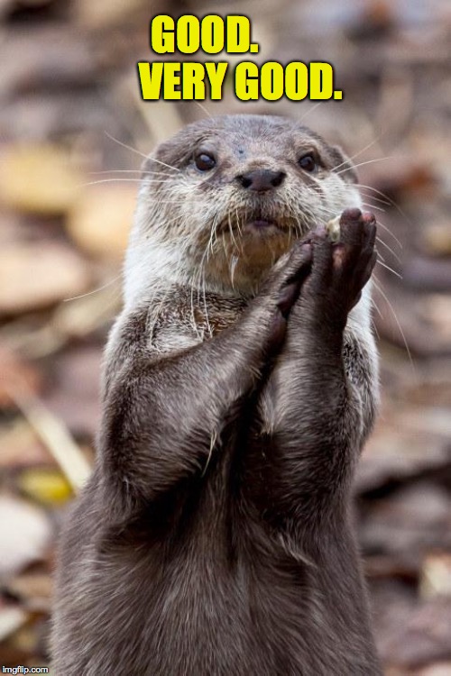 Slow-Clap Otter | GOOD.          VERY GOOD. | image tagged in slow-clap otter | made w/ Imgflip meme maker