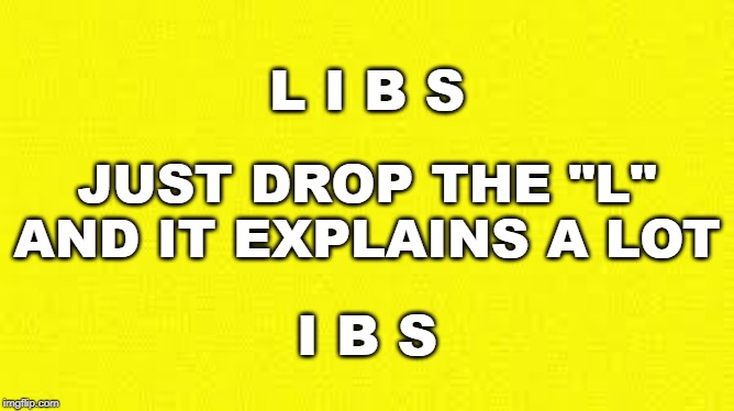 LIBS & IBS | L I B S; JUST DROP THE "L" AND IT EXPLAINS A LOT; I B S | image tagged in libs,political memes,ibs,irritable bowel syndrome,liberalism,democrats | made w/ Imgflip meme maker
