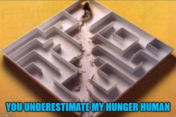 mouse maze Memes & GIFs - Imgflip