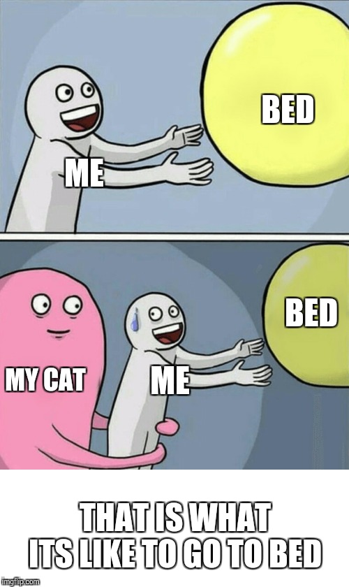 Running Away Balloon | BED; ME; BED; MY CAT; ME; THAT IS WHAT ITS LIKE TO GO TO BED | image tagged in memes,running away balloon | made w/ Imgflip meme maker