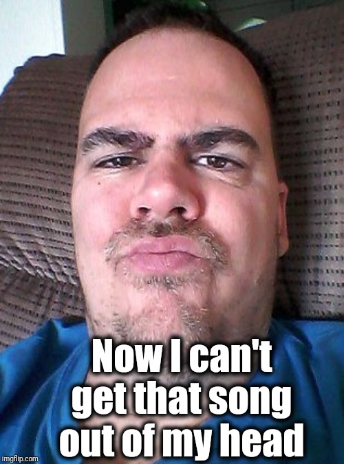 Scowl | Now I can't get that song out of my head | image tagged in scowl | made w/ Imgflip meme maker