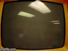 Gold WDHV Logo | image tagged in gold wdhv logo | made w/ Imgflip video-to-gif maker