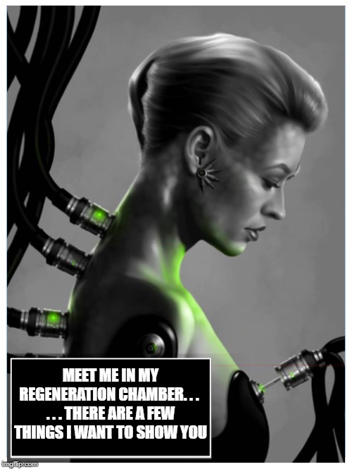 Seven of Nine | MEET ME IN MY REGENERATION CHAMBER. . .  . . . THERE ARE A FEW THINGS I WANT TO SHOW YOU | image tagged in seven of nine,star trek | made w/ Imgflip meme maker