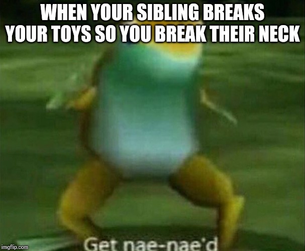 I can relate to this | WHEN YOUR SIBLING BREAKS YOUR TOYS SO YOU BREAK THEIR NECK | image tagged in get nae-nae'd | made w/ Imgflip meme maker