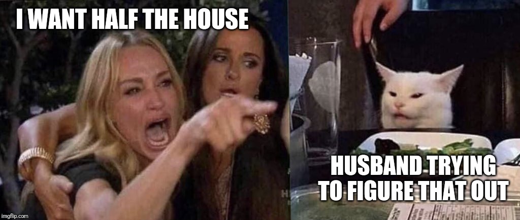 woman yelling at cat | I WANT HALF THE HOUSE HUSBAND TRYING TO FIGURE THAT OUT | image tagged in woman yelling at cat | made w/ Imgflip meme maker