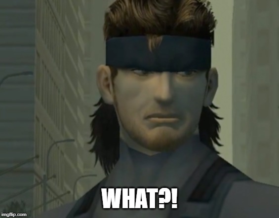 Snake | WHAT?! | image tagged in snake | made w/ Imgflip meme maker