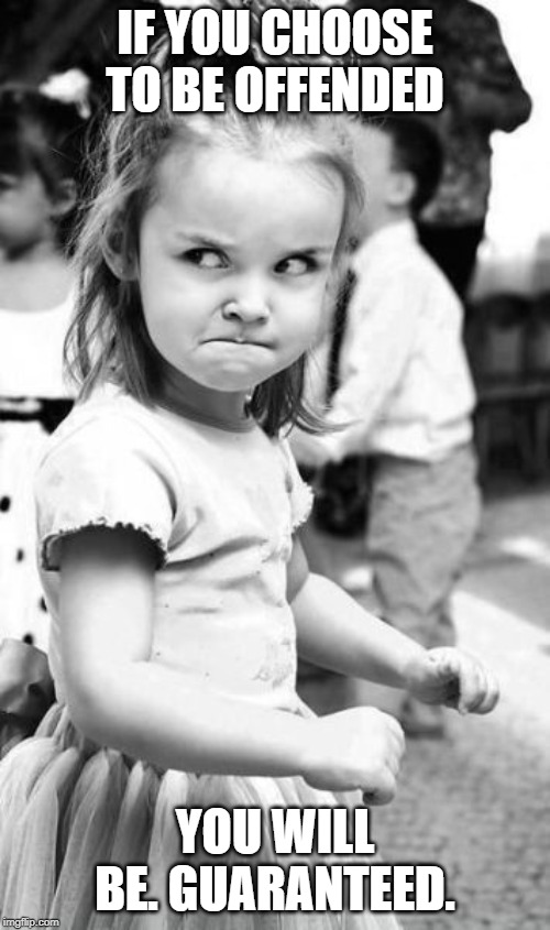 Angry Toddler Meme | IF YOU CHOOSE TO BE OFFENDED; YOU WILL BE. GUARANTEED. | image tagged in memes,angry toddler | made w/ Imgflip meme maker