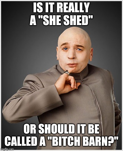 Dr Evil Meme | IS IT REALLY A "SHE SHED"; OR SHOULD IT BE CALLED A "BITCH BARN?" | image tagged in memes,dr evil | made w/ Imgflip meme maker