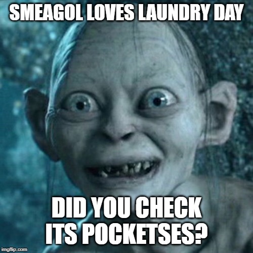 Gollum Meme | SMEAGOL LOVES LAUNDRY DAY; DID YOU CHECK ITS POCKETSES? | image tagged in memes,gollum | made w/ Imgflip meme maker