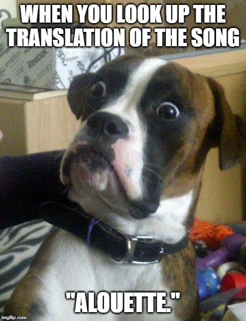 What sadistic French-speaking person wrote this??? | WHEN YOU LOOK UP THE TRANSLATION OF THE SONG; "ALOUETTE." | image tagged in blankie the shocked dog | made w/ Imgflip meme maker