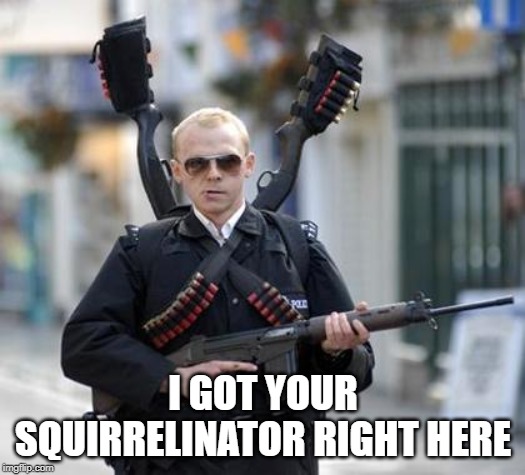 guy walking with shotguns movie | I GOT YOUR SQUIRRELINATOR RIGHT HERE | image tagged in guy walking with shotguns movie | made w/ Imgflip meme maker