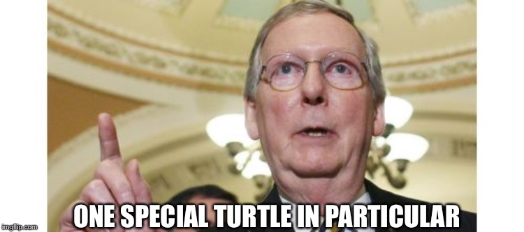 Mitch McConnell Meme | ONE SPECIAL TURTLE IN PARTICULAR | image tagged in memes,mitch mcconnell | made w/ Imgflip meme maker