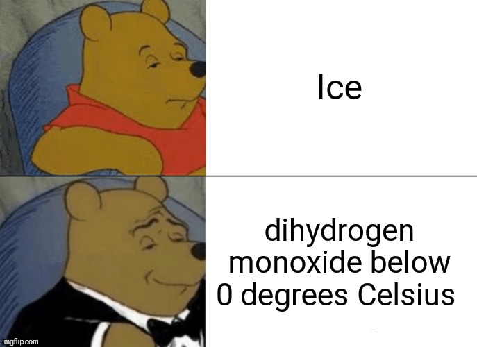 Tuxedo Winnie The Pooh Meme | Ice; dihydrogen monoxide below 0 degrees Celsius | image tagged in memes,tuxedo winnie the pooh | made w/ Imgflip meme maker