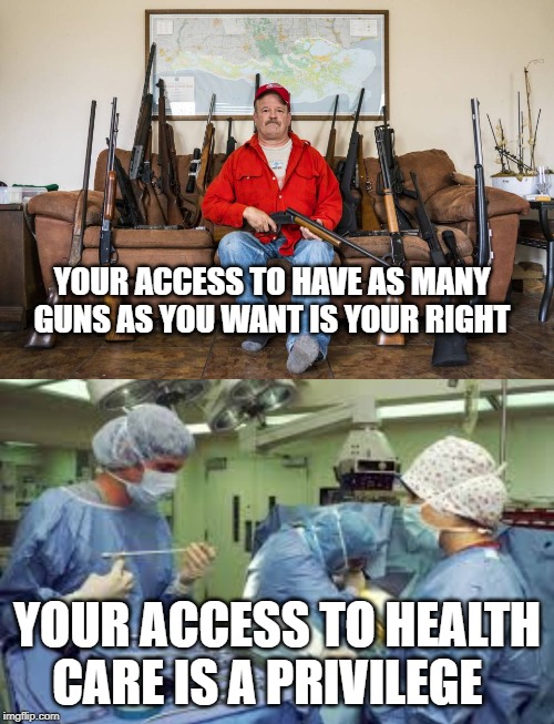 Priorities | YOUR ACCESS TO HAVE AS MANY GUNS AS YOU WANT IS YOUR RIGHT; YOUR ACCESS TO HEALTH CARE IS A PRIVILEGE | image tagged in priorities,GunsAreCool | made w/ Imgflip meme maker