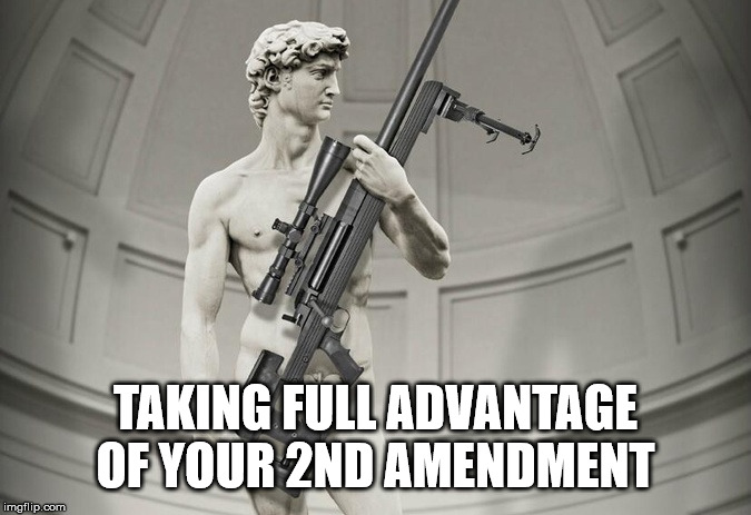 2nd Amendment | TAKING FULL ADVANTAGE OF YOUR 2ND AMENDMENT | image tagged in guns,david,2nd amendment | made w/ Imgflip meme maker