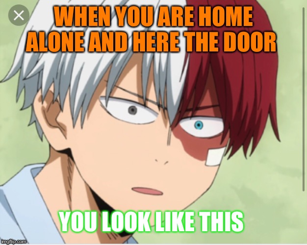 When you don’t know who’s at the door | WHEN YOU ARE HOME ALONE AND HERE THE DOOR; YOU LOOK LIKE THIS | image tagged in random | made w/ Imgflip meme maker