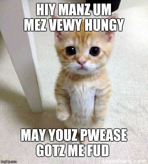 Cute Cat | HIY MANZ UM MEZ VEWY HUNGY; MAY YOUZ PWEASE GOTZ ME FUD | image tagged in memes,cute cat | made w/ Imgflip meme maker