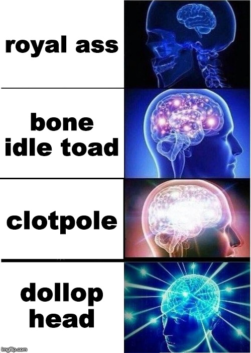 Expanding Brain Meme | royal ass; bone idle toad; clotpole; dollop head | image tagged in memes,expanding brain | made w/ Imgflip meme maker