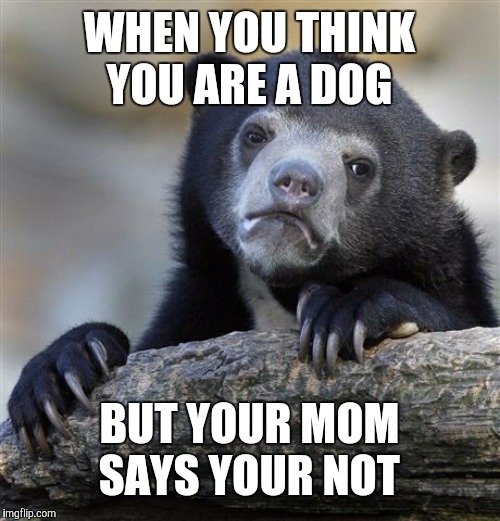 Confession Bear Meme | WHEN YOU THINK YOU ARE A DOG; BUT YOUR MOM SAYS YOUR NOT | image tagged in memes,confession bear | made w/ Imgflip meme maker