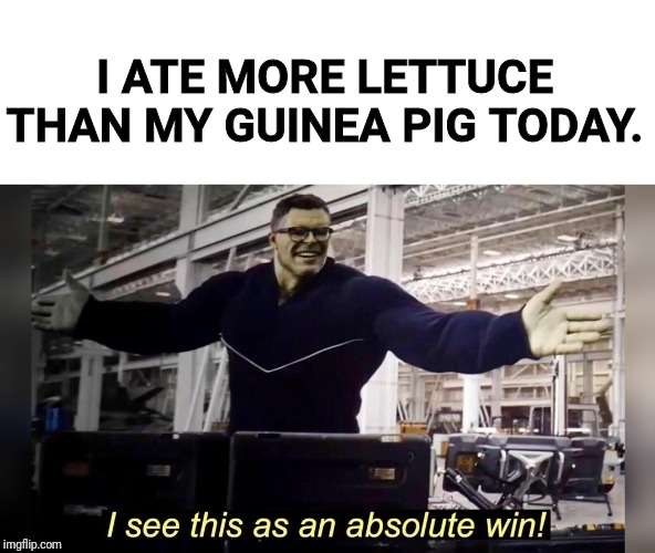 Hulk Win | I ATE MORE LETTUCE THAN MY GUINEA PIG TODAY. | image tagged in hulk win | made w/ Imgflip meme maker