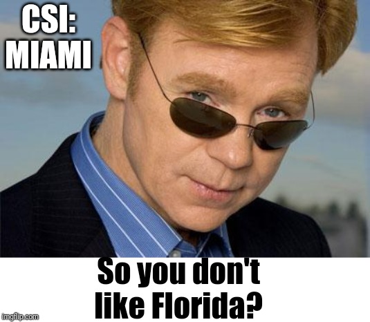 Horatio Caine | CSI: MIAMI So you don't like Florida? | image tagged in horatio caine | made w/ Imgflip meme maker