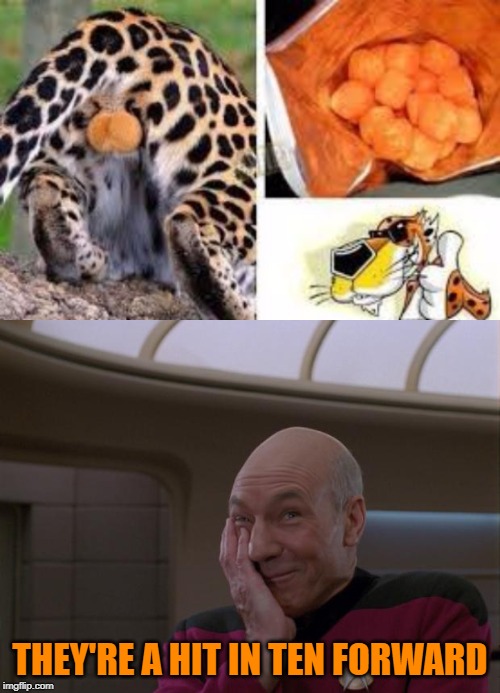 Since I smoke bud that visual won't stay with me for long! | THEY'RE A HIT IN TEN FORWARD | image tagged in cheetos,memes,chester the cheetah,funny,jean luc picard | made w/ Imgflip meme maker