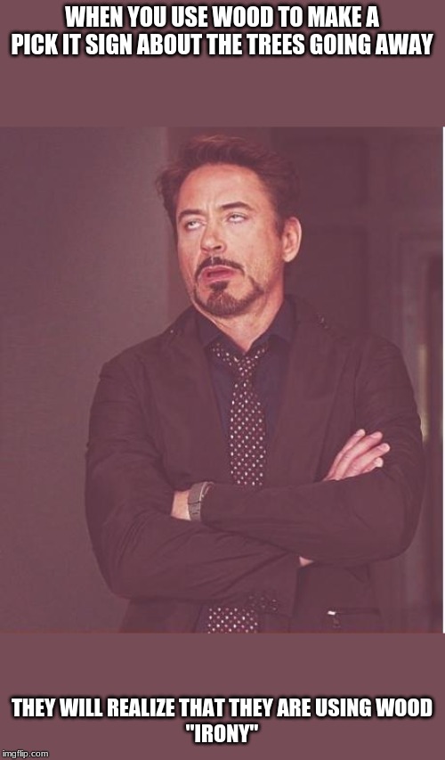 Face You Make Robert Downey Jr Meme | WHEN YOU USE WOOD TO MAKE A PICK IT SIGN ABOUT THE TREES GOING AWAY; THEY WILL REALIZE THAT THEY ARE USING WOOD
"IRONY" | image tagged in memes,face you make robert downey jr | made w/ Imgflip meme maker