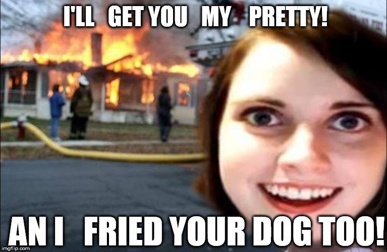 I'LL   GET YOU   MY    PRETTY! AN I   FRIED YOUR DOG TOO! | made w/ Imgflip meme maker